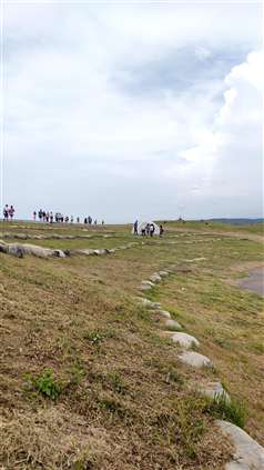Click for large image