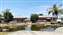 IMG_20240911_132509300.jpg