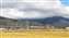 IMG_20241111_091726285自強號火車.jpg