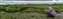 003.png