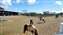 IMG_20241221_124152847.jpg