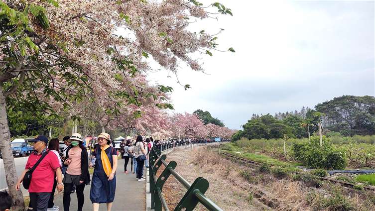 Click to go back