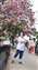 IMG_20240331_134959463.jpg