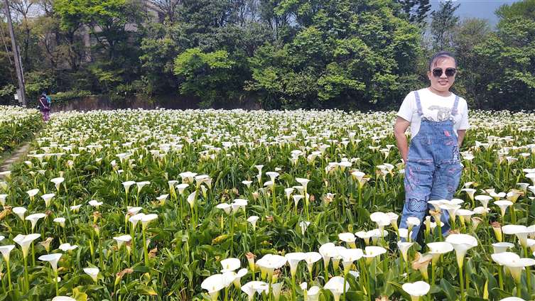 Click to go back