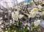 LINE_ALBUM_沙里仙_250104_2.jpg