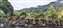 LINE_ALBUM_沙里仙_250104_9.jpg