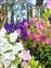 LINE_ALBUM_2025326_250328_16.jpg
