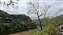 20250404_104648.jpg