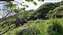 20250414_083950.jpg