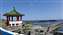 20250416_091844.jpg
