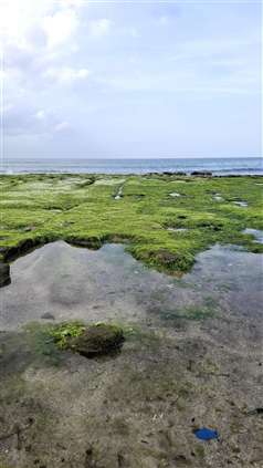 Click for large image