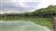 20250425_094305.jpg