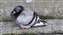 20250426_095728.jpg