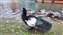 IMG_20250125_143142726.jpg