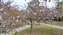 IMG_20250214_143350956.jpg