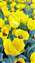 IMG_20250218_141623029.jpg