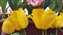 IMG_20250218_143528357.jpg