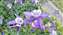 IMG_20250218_144753654.jpg