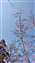 IMG_20250225_101903975.jpg