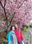LINE_ALBUM_2025清境櫻花季1140224_250226_10.jpg