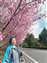 LINE_ALBUM_2025清境櫻花季1140224_250226_8.jpg