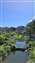20250814_094454.jpg