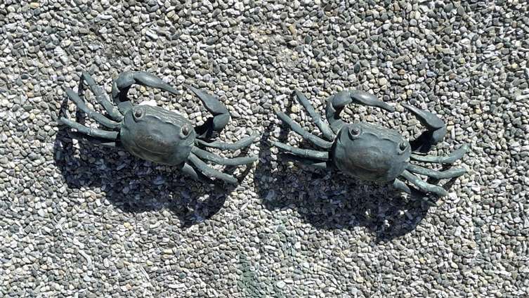 Click to go back