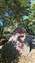 20250828_161329.jpg