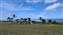 20250910_142324.jpg