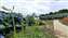 20250606_093603.jpg