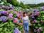 LINE_ALBUM_202565_250607_1.jpg
