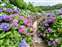 LINE_ALBUM_202565_250607_2.jpg