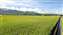 20250609_085236.jpg