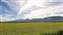 20250609_085318.jpg