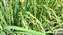 20250609_085739.jpg