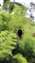 20250611_095827.jpg