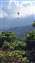 20250624_154826.jpg