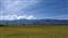 20250625_085029-關山稻穗景色.jpg