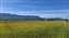20250625_085243.jpg