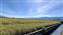 20250625_085511.jpg