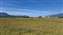 20250625_090640.jpg