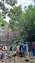20250715_093823.jpg