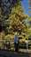 20260103_150625.jpg