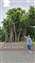 20260424_085300.jpg