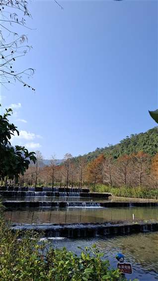 Click to go back