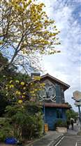 Click for large image
