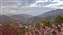 20260224_062816.jpg