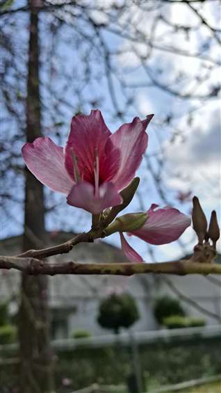 Click to go back