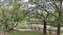 20260407_083529.jpg