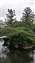 20260408_084917.jpg